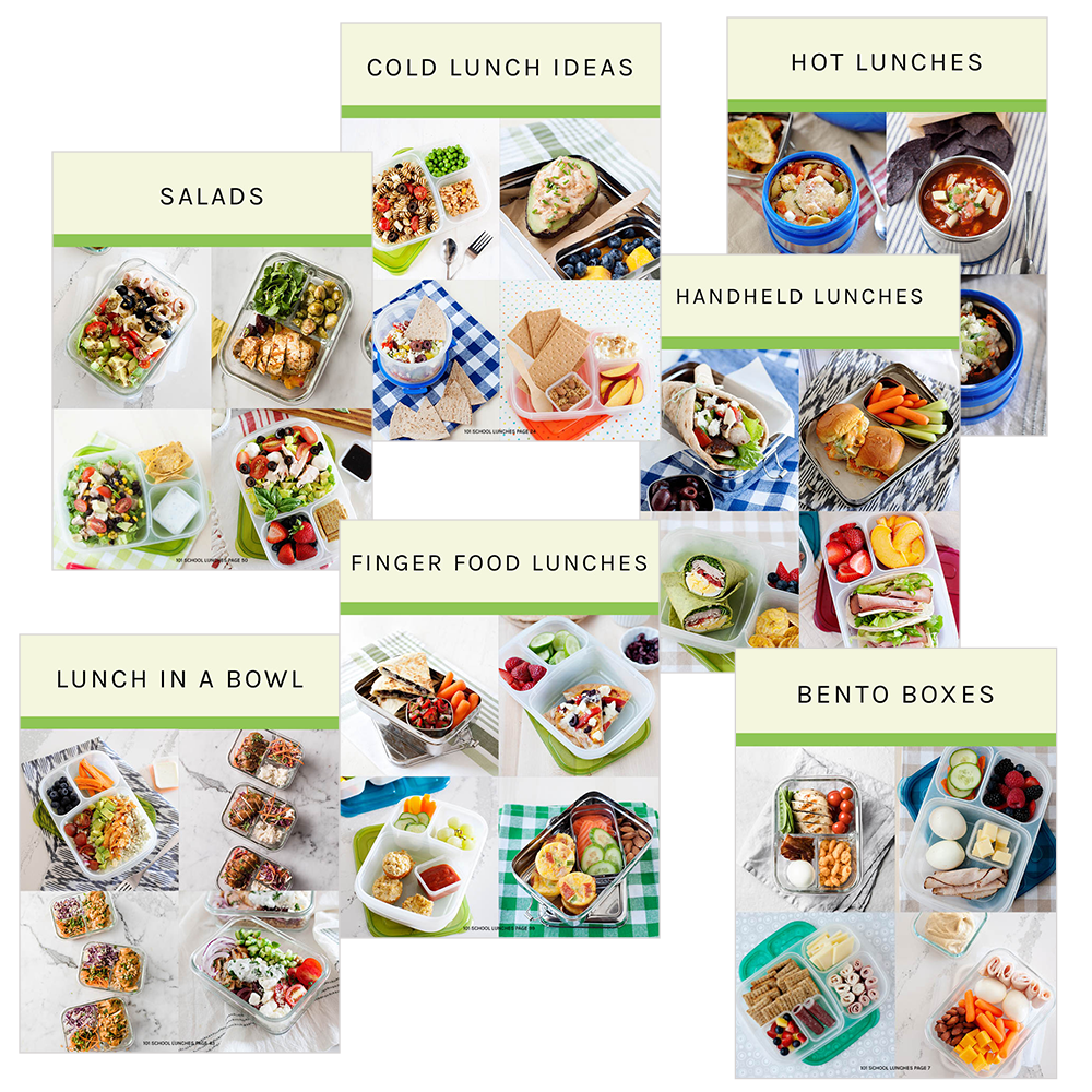 101 Packed Lunches eBook