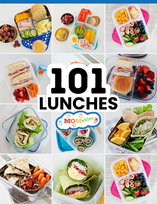 101 Packed Lunches eBook
